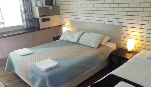 Habitación Premier con 2 camas individuales