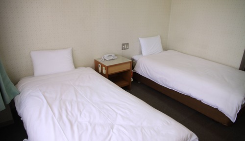 Habitación estándar con 2 camas individuales