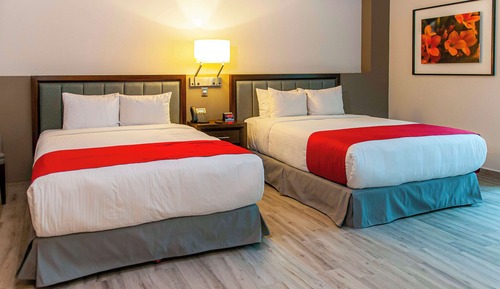 Habitación estándar, 2 camas de matrimonio, no fumadores (Pet Friendly)