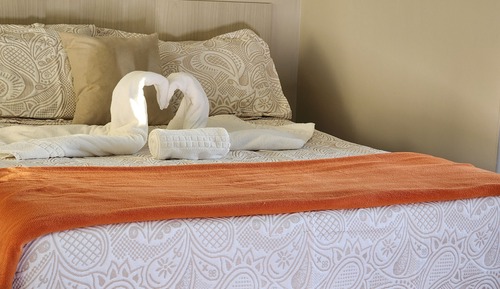 Suite estudio Confort