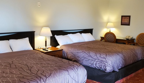 Habitación, cocina básica