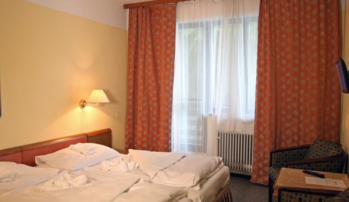 Habitación estándar con 2 camas individuales, 1 habitación, vistas al parque, en edificio anexo