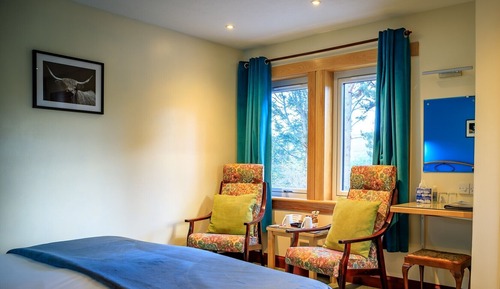 Habitación doble, accesible para personas con discapacidad, baño privado (Pine Marten)