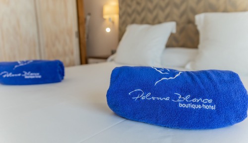 Habitación con 1 cama doble o 2 individuales, vistas a la piscina (Plus)