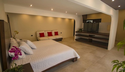 Suite ejecutiva, 1 cama de matrimonio grande, baño privado