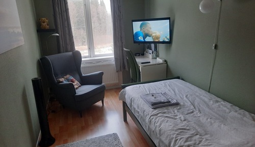 Habitación individual básica, vistas al jardín