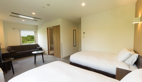 Habitación Deluxe con 2 camas individuales