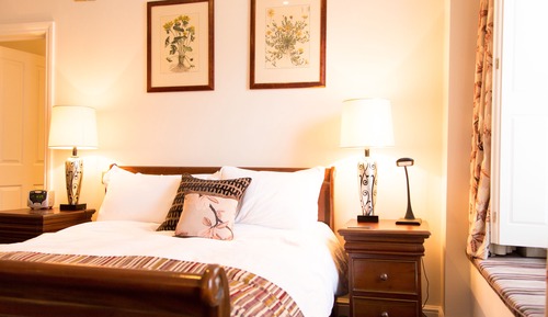 Habitación doble superior, 1 cama doble, baño privado, vistas a la ciudad