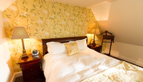 Suite superior, 1 cama doble, baño privado, vistas a la ciudad