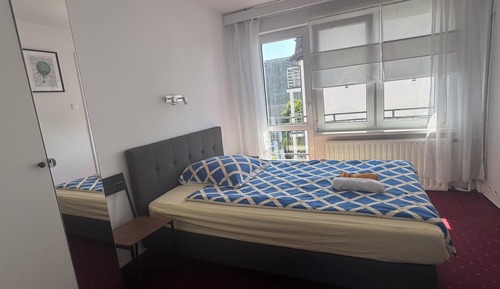 Habitación individual estándar, vistas al jardín