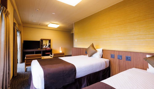 Habitación superior con 2 camas individuales, no fumadores (With shower booth)