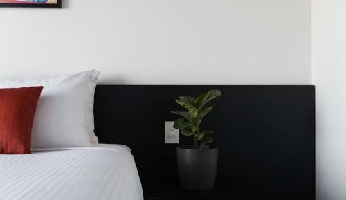 Habitación con 2 camas individuales (Paddock View)