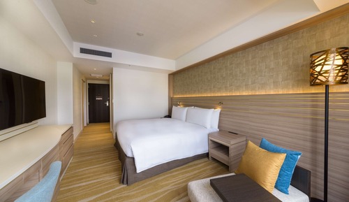 Habitación, 1 cama de matrimonio grande