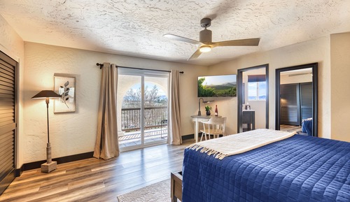 Habitación Deluxe, 1 cama de matrimonio grande, baño privado, vistas al viñedo