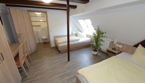 Habitación estándar con 2 camas individuales