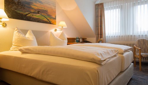 Habitación Confort doble, accesible para personas con discapacidad, vistas a la montaña