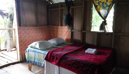 Casa en un árbol, 1 habitación