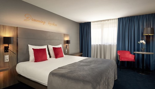 Habitación estándar, 1 cama de matrimonio grande