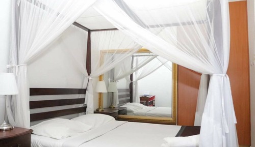 Estudio estándar, vistas al jardín