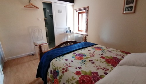 Habitación doble de uso individual, 1 cama doble (Le Clain)