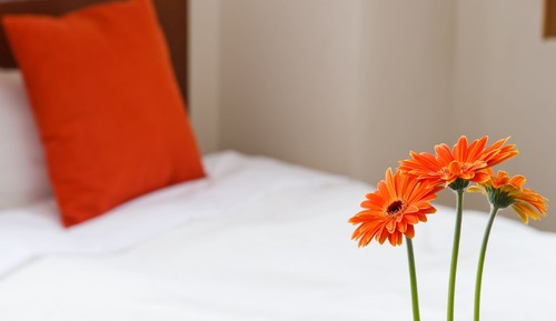 Habitación individual estándar, fumadores