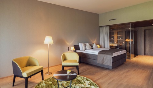 Habitación doble superior, balcón, vistas a la montaña