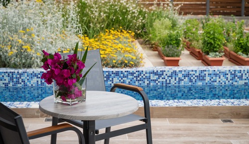 Double room Plunge Pool