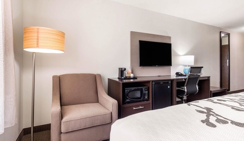 Suite, 1 cama de matrimonio grande con sofá cama, no fumadores