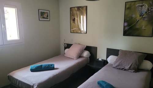 Habitación Premium con 2 camas individuales, baño privado (Twin 9)