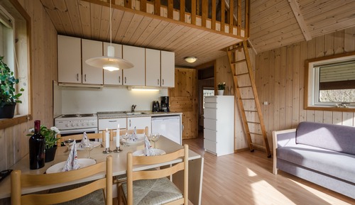 Cabaña de lujo, baño privado (Scandinavia)