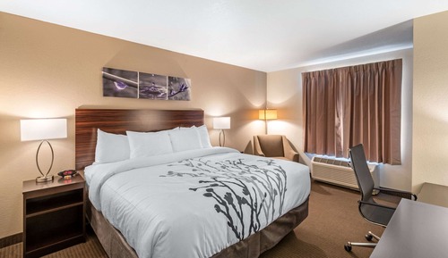 Habitación, 1 cama de matrimonio grande, no fumadores, frigorífico