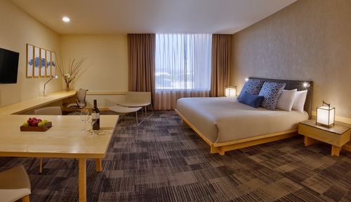 Junior Suite 1 King Bed