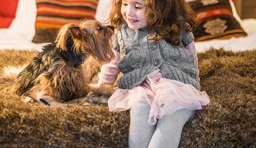 Apartamento ejecutivo