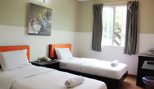 Habitación Deluxe con 2 camas individuales