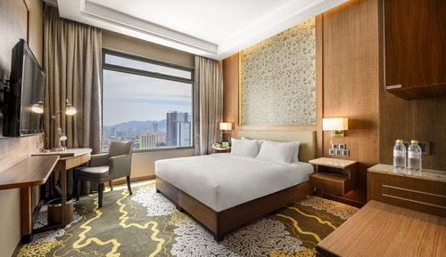 Habitación, 1 cama de matrimonio grande (Urban)