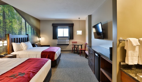 Suite (Water Park Included-Grizzly Bear)