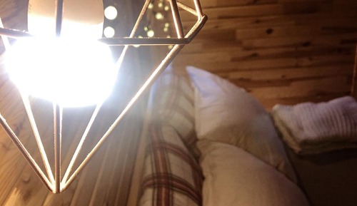 Casa Deluxe en un árbol