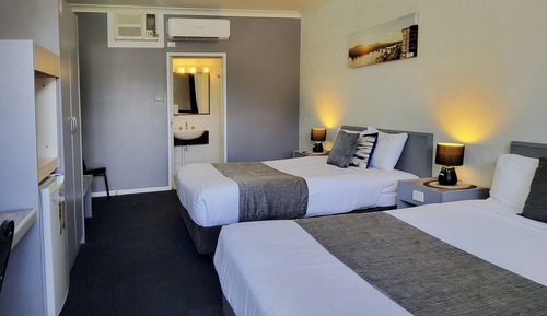 Habitación Deluxe con 2 camas individuales (Non Pet)