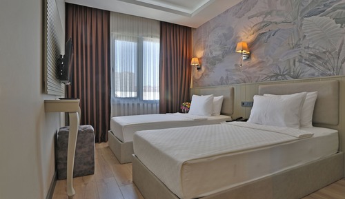 Superior Twin Room, Mountain View