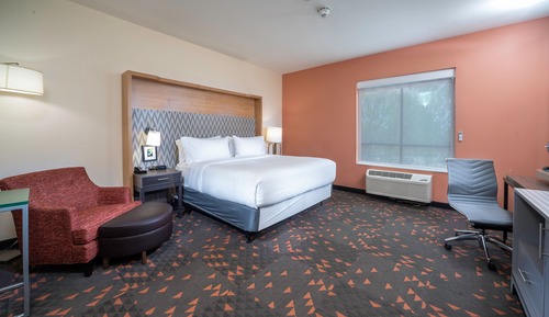 Habitación estándar, 1 cama de matrimonio grande (Mobility Roll-In Shower)