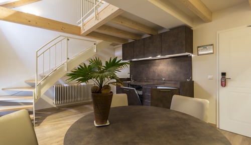 Apartamento Deluxe, baño privado