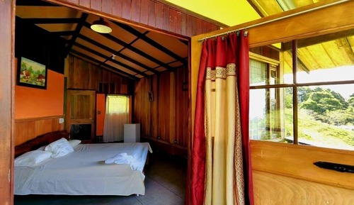 Couples in the jungle #9