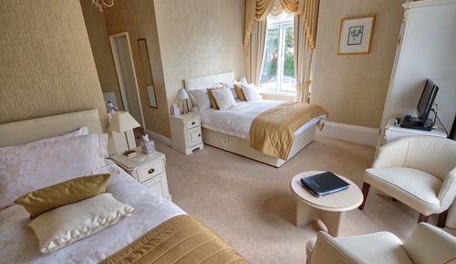 Habitación Deluxe doble (Llwynon)