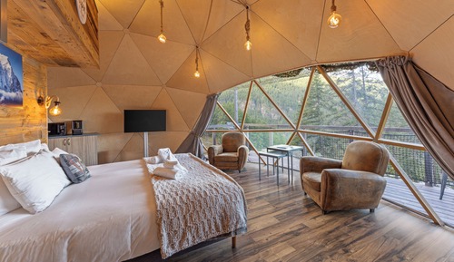 D'hômes Cosy 11 # Francis #