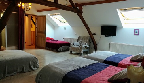 Habitación cuádruple familiar, no fumadores, vistas al jardín