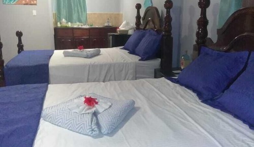 Habitación cuádruple Deluxe, cocina básica