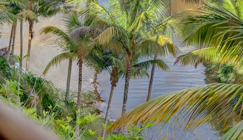 Suite básica (King)