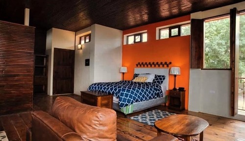 Habitación Premium, 1 cama de matrimonio
