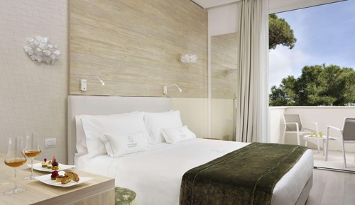 Habitación Doble Confort con balcón o jardín