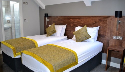 Habitación Deluxe con 1 cama doble o 2 individuales